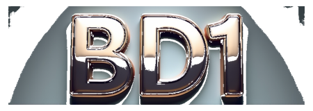 bd1 logo